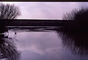 Wharfe's Mouth south of Cawood 53°50′38.73″N 1°7′50.17″W﻿ / ﻿53.8440917°N 1.1306028°W﻿ / 53.8440917; -1.1306028