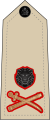 Lieutenant general (Malawi Army)