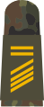 Stabsgefreiter BA (Navy able seaman boatswain aspirant, field uniform mounting strap. note the small stripes)