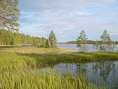 Patvinsuon kansallispuisto, Lieksa