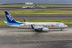 Boeing 737-800 in Tohoku Flower Jet livery