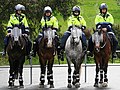 Antidisturbios de la policía montada de Australia.