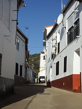 Carbajo