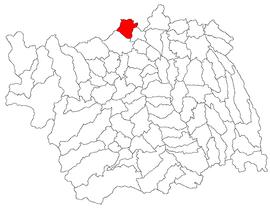 Location in Bacău County