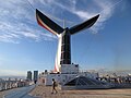 The "whale-tail" funnel, from the back