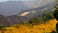 Paysage aux environs de Buéa.