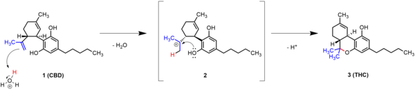 Intramolekulare cyklisierung von CBD zu Δ9-THC