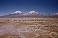 Volcanoes in Sajama National Park (Parinacota and Pomerape)