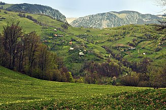 Tecșești