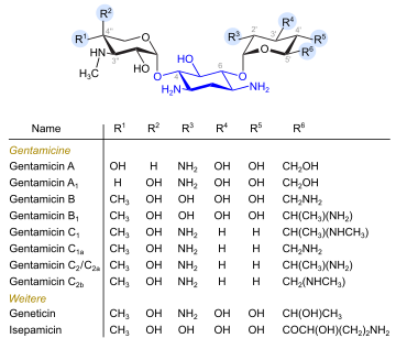 Gentamicine und verwandte Verbindungen (blau: Desoxystreptaminstruktur)