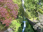 Panke River in Gesundbrunnen