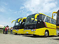 Mobil Bachelor Tours 406 dan 402 Davao