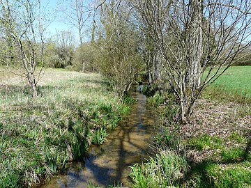 La Louyre en aval du Moulin de Durestal.