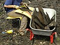 Splitting shale (Messel oil shale) with a large knife to reveal fossils