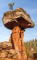 Teufelstisch: Sandsteine des Buntsandsteins (Trias) des Pfälzerwaldes