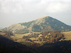 Borišov