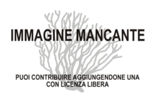 Immagine di Ostiactis pearseae mancante