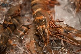 Shrimp chilled with ice in a market