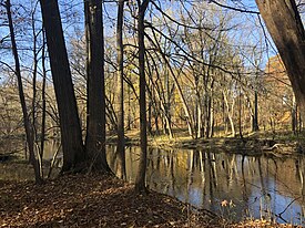 The Red Cedar River flowing through Okemos.