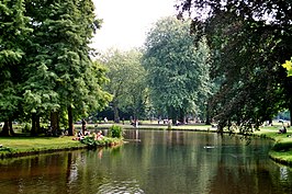 Vijver en groen in het Vondelpark.