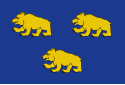 Vlag van Beernem