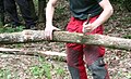 Removal of bark from oak branches