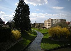 Skyline of Seifhennersdorf