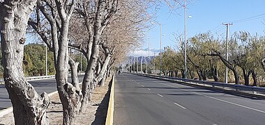 Av. Lib. Gral. San Martín entre Marquesado y Rivadavia