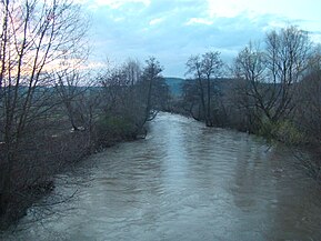 Crișul Alb la Baia de Criș