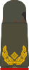 Brigadegeneral (field suit)