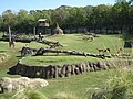 de bisten fan 'e Afrikaanske savanne, yn 'e Dallas Zoo