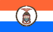 Vlag van Bronx County