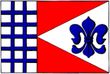 Vlag