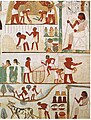 Image 6Agricultural scenes of threshing, a grain store, harvesting with sickles, digging, tree-cutting and ploughing from Ancient Egypt. Tomb of Nakht, 15th century BC. (from History of agriculture)