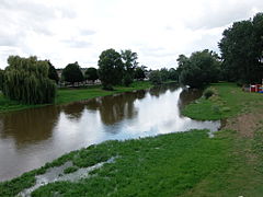 Photographie du Louet à Rochefort-sur-Loire.