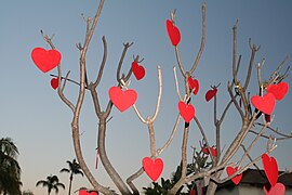 Corazones, característicamente rojos en su mayoría.