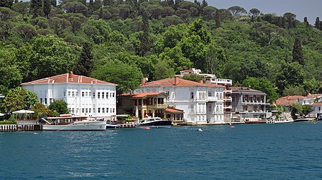 Stone pines were planted on the hills of the Bosphorus strait in Istanbul for ornamental purposes during the Ottoman period.