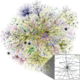 Map of the Internet