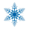 A snowflake!