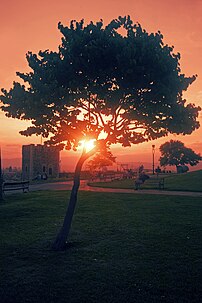 Coucher de soleil sur la forteresse de Skopje. (définition réelle 600 × 900)