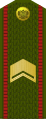 Старшына Staršyna (Belarusian Ground Forces)[3]