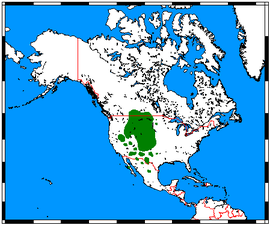 Distribución do antílope americano