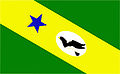 Bandeira de Mâncio Lima