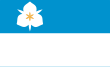 Vlag van Salt Lake City