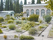 Photographie montrant une partie du Jardin des plantes.