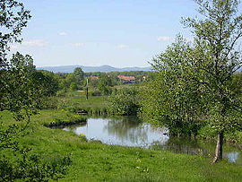 Landscape around Autrechêne