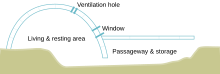 An igloo side view diagram; opening to the right, the optional window may be composed of a sheet of freshwater ice