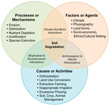 El diagrama de degradació del sòl, mostra alguns factors, causes i efectes atribuïbles.