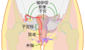 於 2021年7月3日 (六) 21:22 版本的縮圖