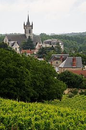 Le vignoble à Valençay en 2010.